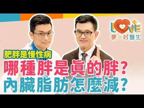 肥胖是慢性病？七個十大死因竟都跟它有關！數據顯示內臟脂肪比皮下脂肪更加危險？減肥成敗關鍵就是它？好的飲食控制就能降低內臟脂肪！腰圍量骨盆？你的腰圍可能量錯了！｜黃瑽寧（feat. 宋晏仁）