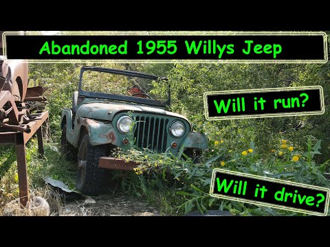 I Abandoned this 1955 Willys Jeep CJ5 years ago, will it run and drive?