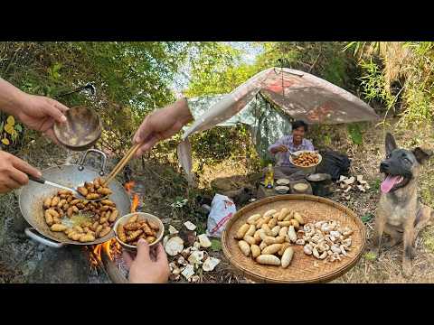 Adventure Outdoor Tent Camping And Catch Worms To Cook In The Forest.