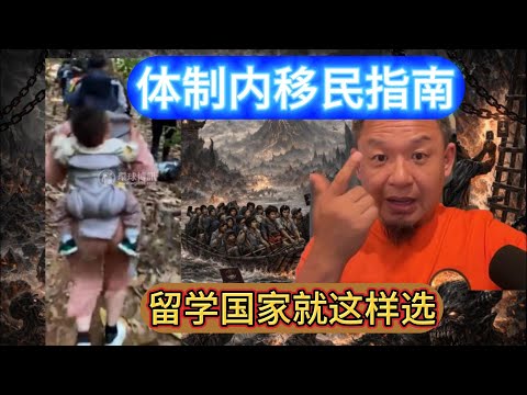 老王来了：体制内辞职→带娃出国：留学国家怎么选？丨留学国家不是选风景，是选签证通道