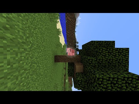 Sideways Minecraft