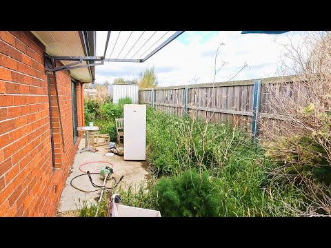 This brings a new meaning to Backyard JUNGLE Restoration!