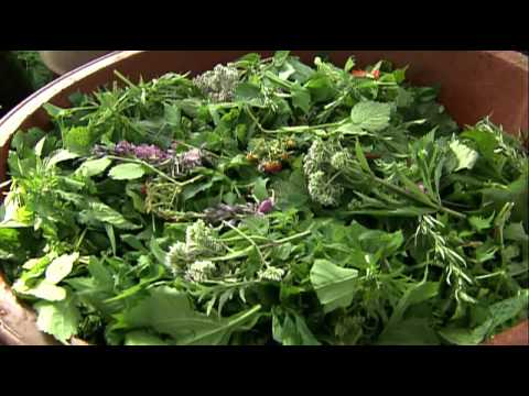 M본부특집다큐   잡초는 없다 070617