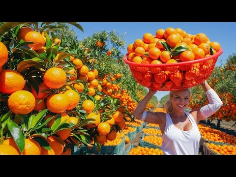 The Hidden Secrets of Orange Juice Production EXPOSED