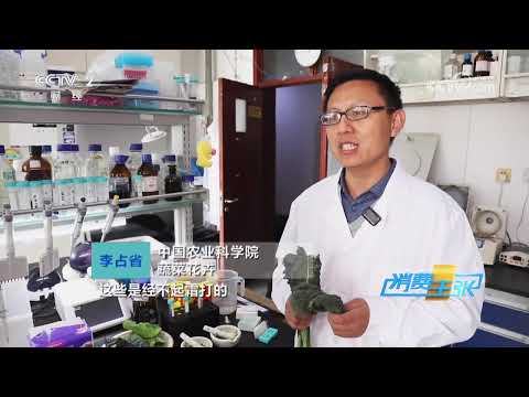 《消费主张》 20251217 霜打菜为何好吃？这是冬天的清甜！ |  财经风云