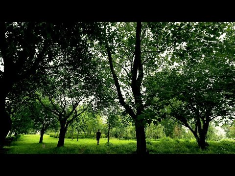 假如我不再敷衍