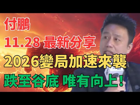 听付总讲财经 - 付鹏谈2026年投资策略，国内生产关系存在巨大平衡问题！抓住美元，黄金，AI的机会！不要轻视！