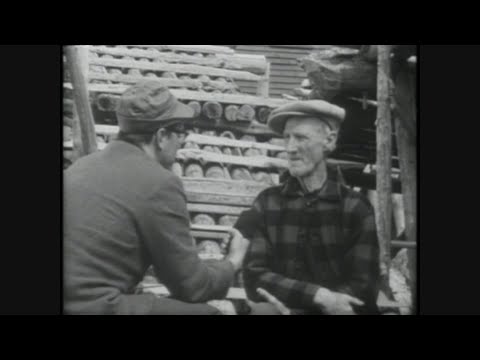 Land & Sea: Dave Quinton remembers