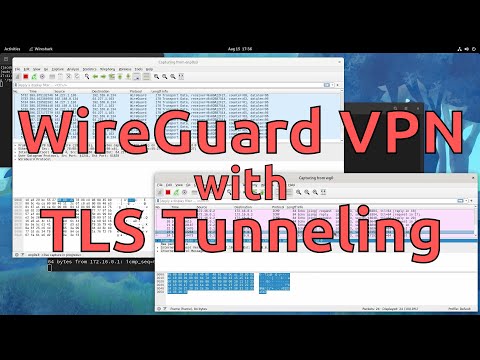 WireGuard VPN with TLS Tunneling