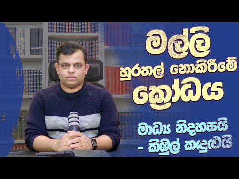 කිඹුල් කදුළු