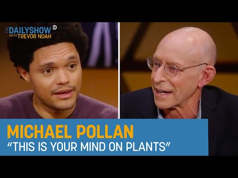Michael Pollan - How Psychedelics Can Improve Mental Health | The Daily Show