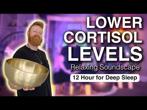 Lower Cortisol Levels with This Soothing Soundscape | Healing Frequencies to Sleep
