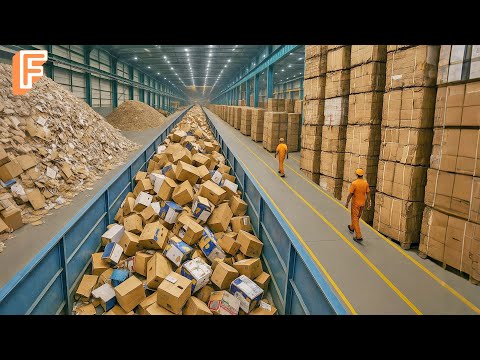 How Millions of Cardboard Boxes Are Recycled Inside Massive Recycling Line