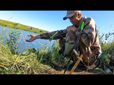 FISHING WITH OLD ELASTIC TACKLE! CRUCIAN CARP in summer