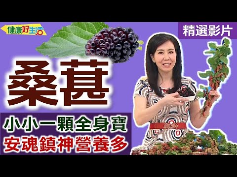 【健康好生活 超精彩回顧】小小「桑葚」全身寶！安魂鎮神營養多 ///  桑葚清涼飲+桑葚豬里肌肉排  桑根首烏枸杞雞湯+桑葚優格蔬果  桑葚肉捲
