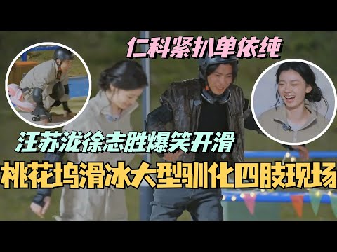 【MultiSub】桃花坞大型驯化四肢现场！仁科滑冰死死扒住单依纯 汪苏泷徐志胜爆笑跪地！#综艺 #娱乐 #五十公里桃花坞s4 #单依纯 #汪苏泷 #仁科