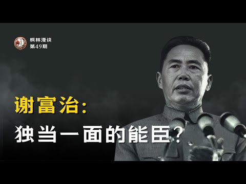 谢富治：独当一面的能臣？