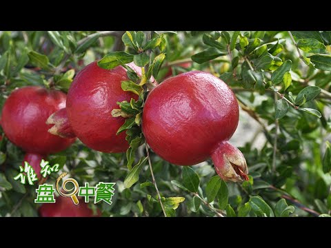 他种植石榴种出了心得，吃这种石榴竟然不用吐籽，像喝果汁一样！这神奇的石榴到底藏着什么种植秘密！丨「谁知盘中餐」20221013