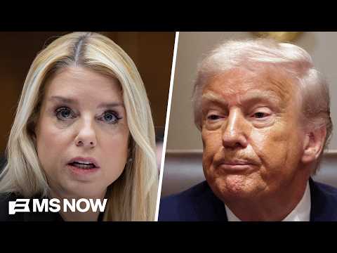 Trump donors ‘deeply unimpressed’ by Pam Bondi’s Epstein hearing: Investigative Journalist