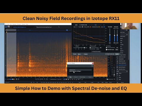 How to Clean Noisy Field Recordings in Izotope RX11 | Simple How To Demo | Before and After Examples