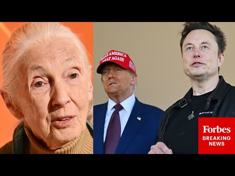 Jane Goodall Shows No Mercy To Trump And Elon Musk In Netflix Interview Before Her Death