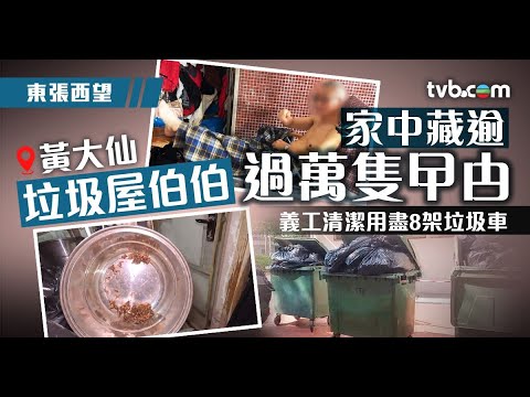 東張西望｜黃大仙垃圾屋伯伯 家中藏逾過萬隻曱甴