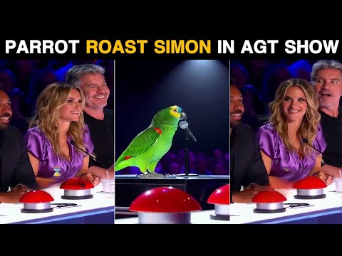 “The Parrot That Outsang Everyone on America’s Got Talent 🎤🦜