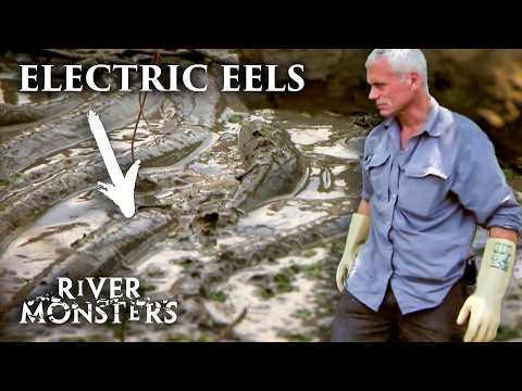 The Best Moments Fishing For Eels | River Monsters