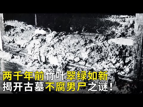 墓葬挖出两千年前新鲜竹叶 红色液体中惊现不腐男尸 种种迹象表明大墓绝非寻常！《奥秘2021》暑期篇（21）丨 中华国宝