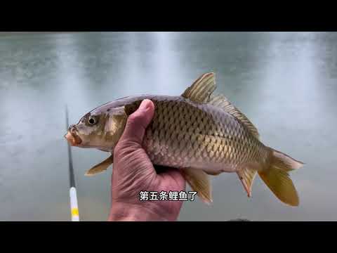 做了一个决定，正式开启全国探钓第一站！ 广西·桂林，我来了～出发永远是最有意思的事情