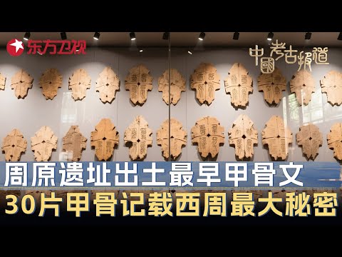 周原遗址出土史上最早甲骨文! 30片甲骨破译后专家集体震惊: 记载了西周最大秘密 #中国考古报道 FULL