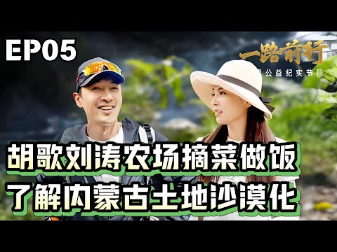小分队来到内蒙古探索土壤沙漠化治理的秘密!向无私奉献的科学家致敬!胡歌、刘涛农场摘菜做饭秀厨艺!【#一路前行】#胡歌 #刘涛 #陈龙 FULL