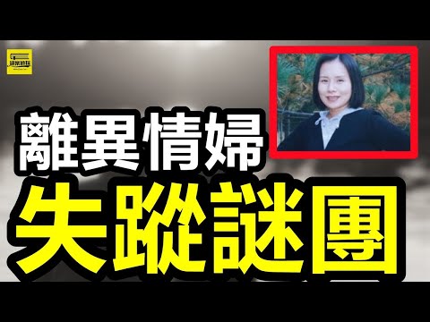 男教授出軌離異少婦，酒店私會情婦失蹤！情感專家出軌女上司，妻子大戰小三雙雙慘死！深夜與小姨子頻繁聯系，失聯5小時凍屍門口！#真實案件 #大熱門 #crime #news #熱門#案件