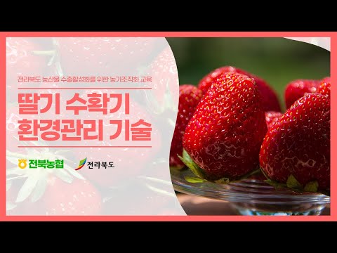 딸기재배 농가 수확기 환경관리 기술 관리