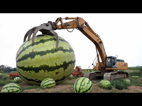 50 Most Dangerous And Biggest Heavy Equipment Machines Working At Another Level