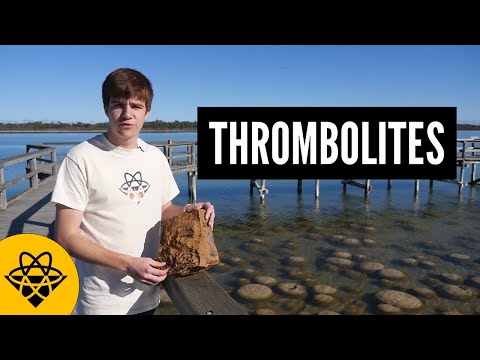 These Rocks Caused An Apocalypse