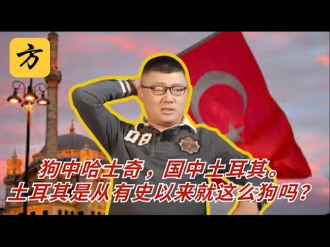 袁腾飞会员专享：狗中哈士奇，国中土耳其。土耳其是从有史以来就这么狗吗？#方生精选 #history #popular #podcast