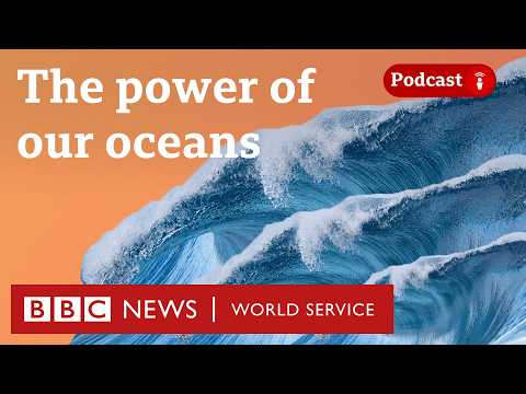 What do the oceans do for us? - The Climate Question podcast, BBC World Service