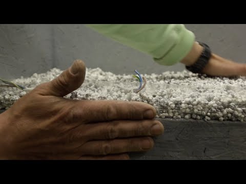 Водяные теплые полы. Способы монтажа. Часть 3.