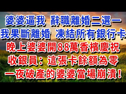 婆婆逼我 辭職離婚二選一，我果斷離婚 凍結所有銀行卡，晚上婆婆開88萬香檳慶祝 ，收銀員：女士 這張卡餘額為零！一夜破產的婆婆當場崩潰！#書婷講故事 #為人處世#生活經驗#情感故事#晚年哲理