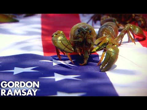 Gordon Ramsay Shows How To Catch & Cook Crayfish
