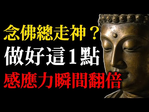 【震撼真相】念佛總走神？揭秘《楞嚴經》被遺忘的專註秘法：做好這1點，感應力瞬間翻倍！(佛學秘傳專註法)#佛學智慧#念佛走神#專註力#禪修#阿彌陀佛#感應#金剛經#楞嚴經#人生智慧#冥想#消業障