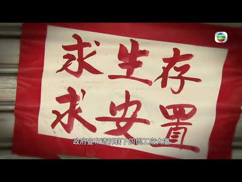 星期日檔案 - 工廈容不下