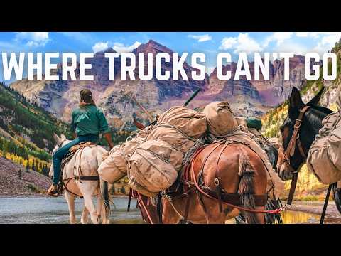 No Roads, Just Mules: Packing Supplies to the Last Shepherds of the West