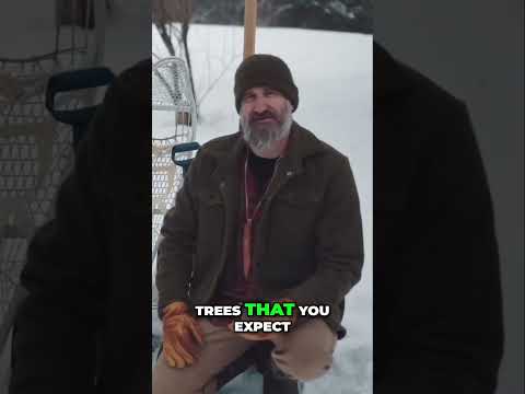 Winter Tools: Choose What Works, Not What Looks Cool

When the snow’s deep and the wood is frozen so