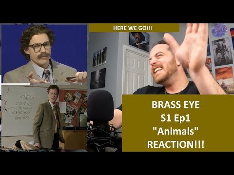 American Reacts | BRASS EYE - Animals Episode 1 | REACTION