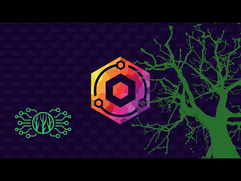 Setting up Nginx Proxy Manager for my homelab