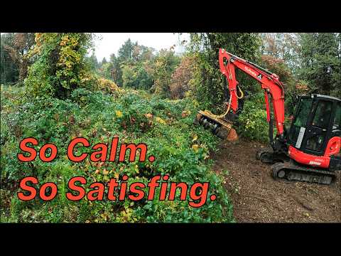 Oddly Satisfying Rainy Day Forestry Mulching