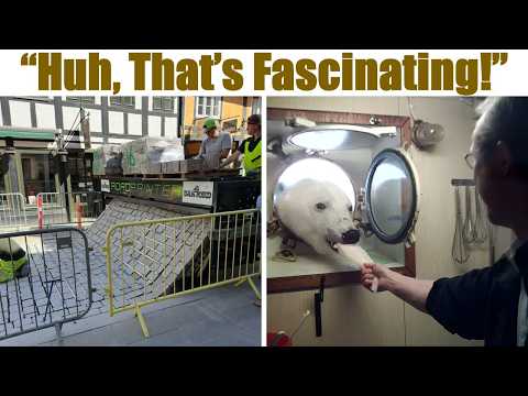 Fascinating Pictures That Will Blow Your Mind