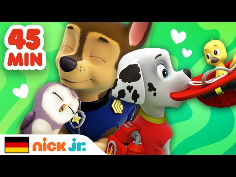 PAW Patrol: Tierbaby-Rettungen für 45 Minuten! Teil 2 | Nick Jr. Deutschland